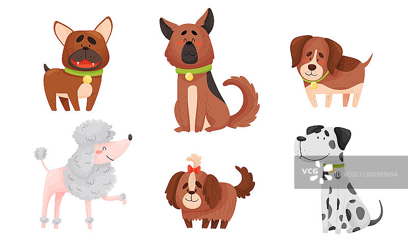 坐着和站着的有趣的狗图片素材