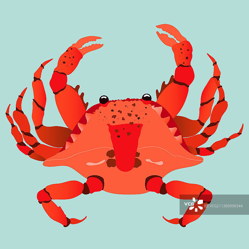 手绘红色螃蟹图片素材