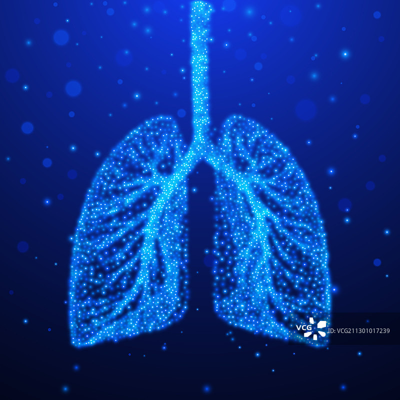 人类肺部呼吸系统图片素材