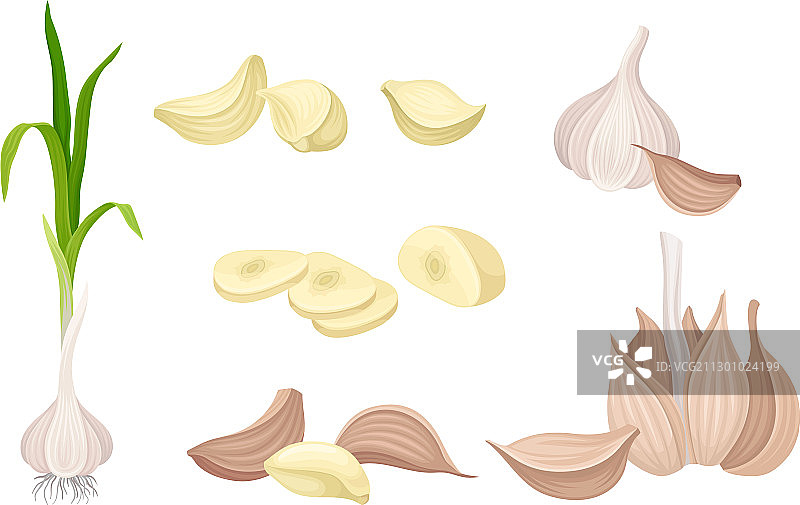 完整和切片的大蒜图片素材