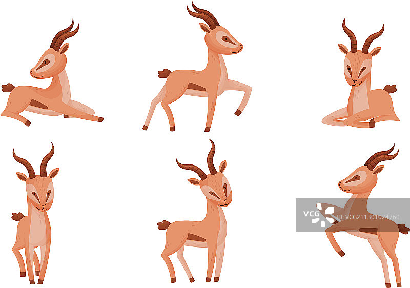 不同姿势的黑斑羚图片素材