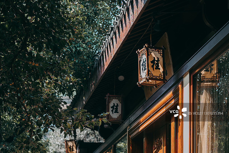 满陇桂雨图片素材