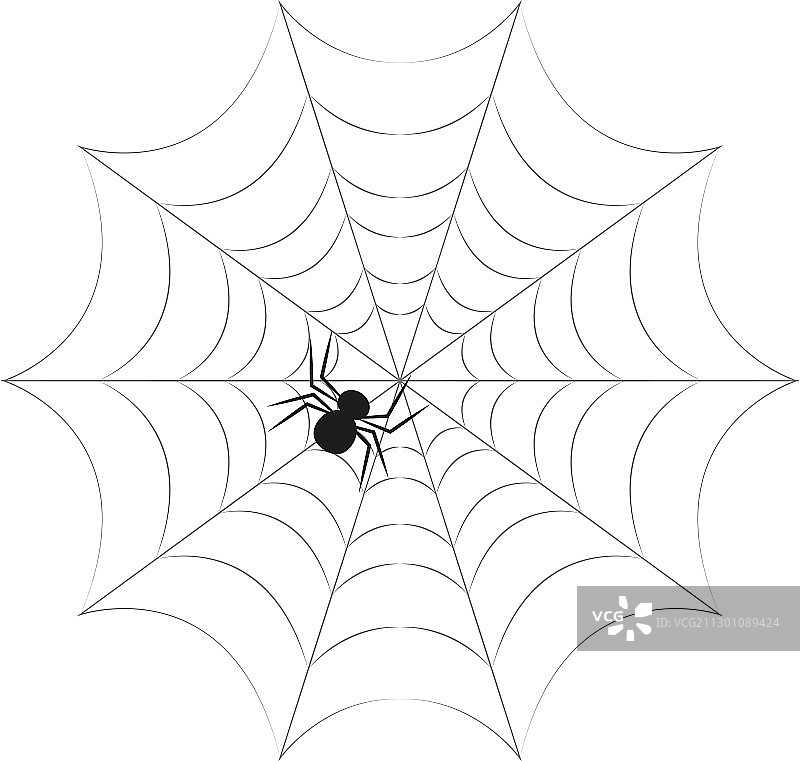 扁平风格的蜘蛛网图片素材