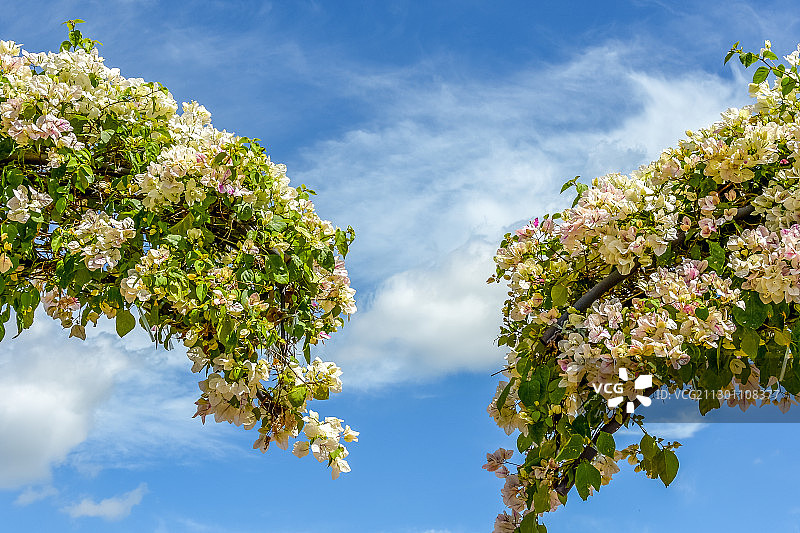 云南开远知花小镇图片素材