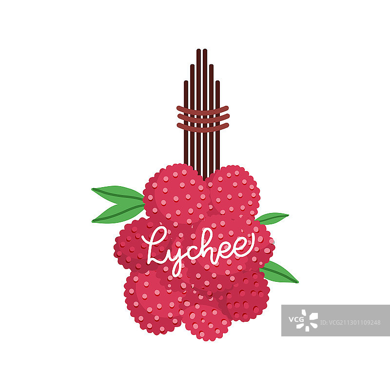 树枝上的荔枝果实图片素材