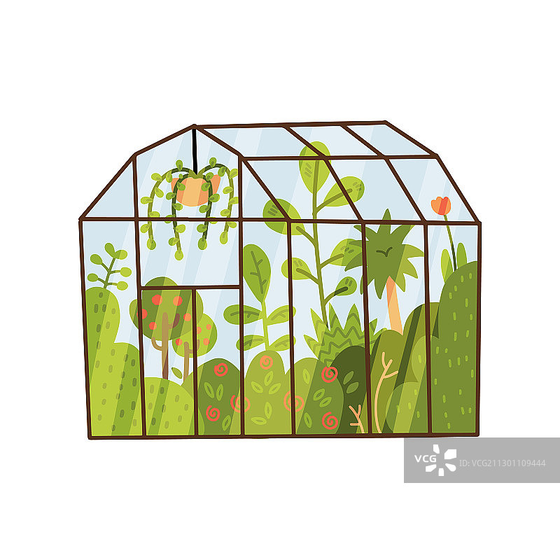玻璃温室内的植物图片素材