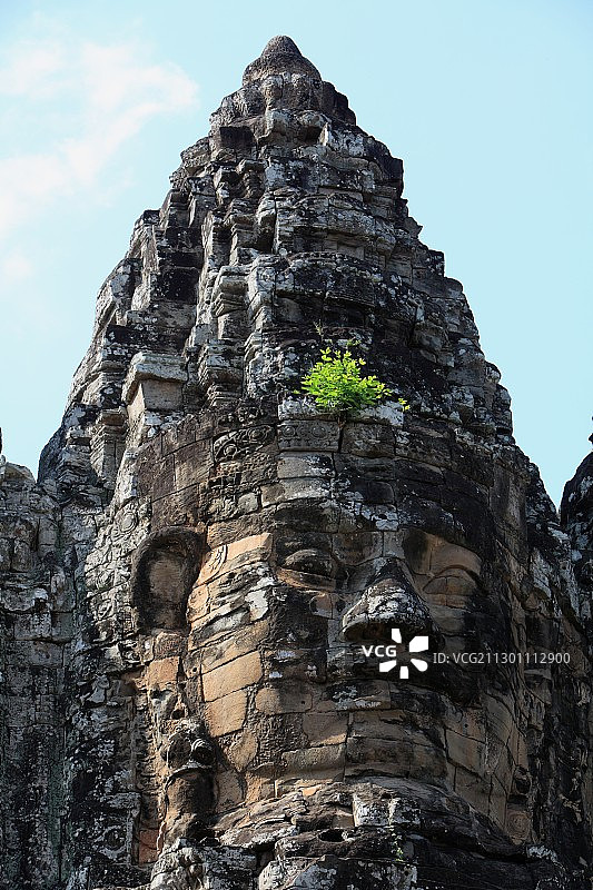 新生的草丛和古老的巨型石雕图片素材