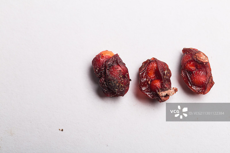 生五味子中药药材带标尺棚拍文献科普资料图片素材