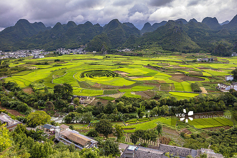 贵州兴义的稻田光影图片素材