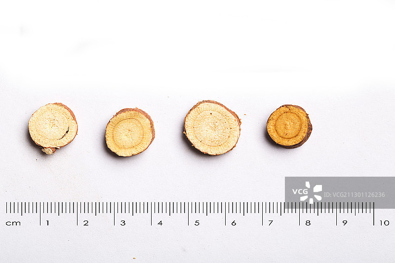 甘草中药药材带标尺棚拍文献科普资料图片素材