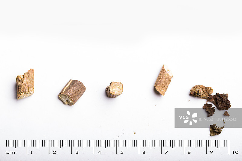 广藿香中药药材带标尺棚拍文献科普资料图片素材