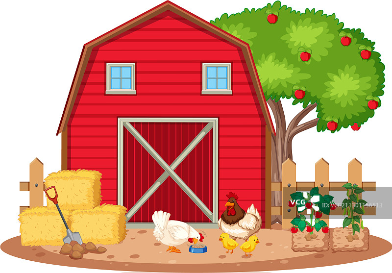 农场上的鸡和蔬菜场景图片素材