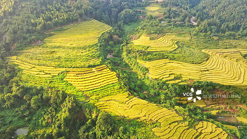 秋分时节图片素材