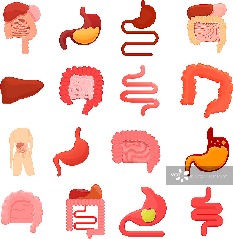 消化图标卡通风格套装图片素材