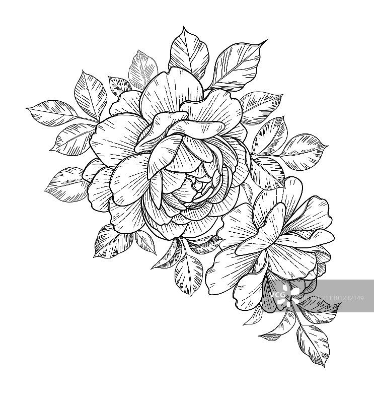 手绘玫瑰花卉组合图片素材