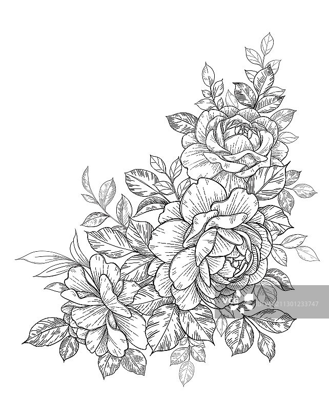 手绘玫瑰花叶花束图片素材