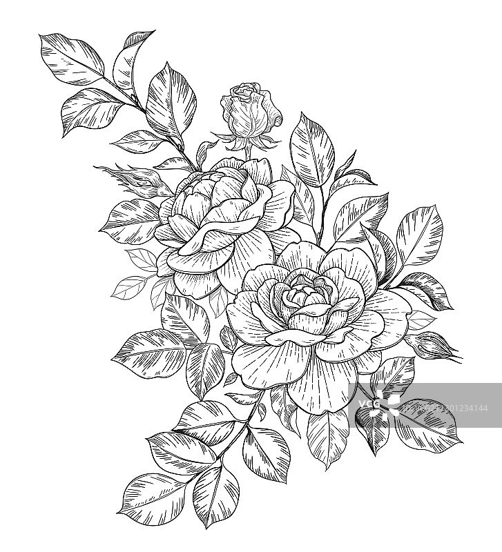 手绘花束玫瑰花蕾叶子图片素材