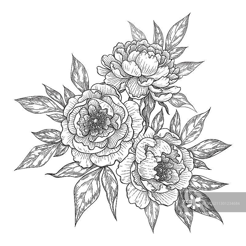 手绘花束与牡丹花图片素材