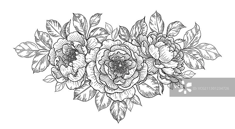 手绘花束与牡丹花图片素材