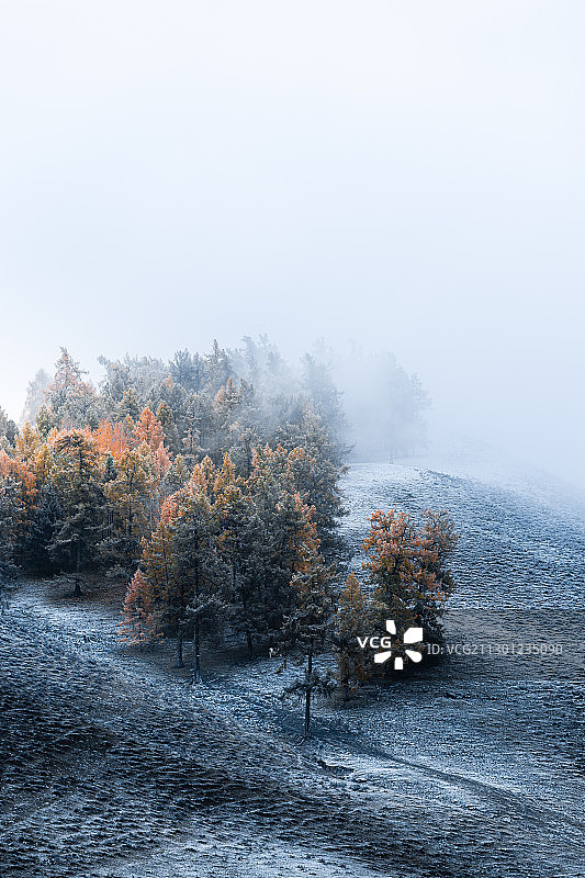 白哈巴雪景图片素材