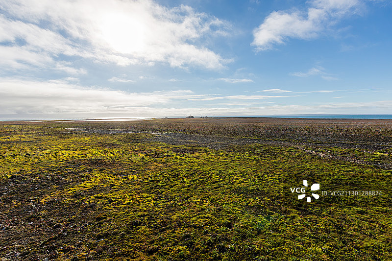 扬马延岛上的绿草与蓝天图片素材