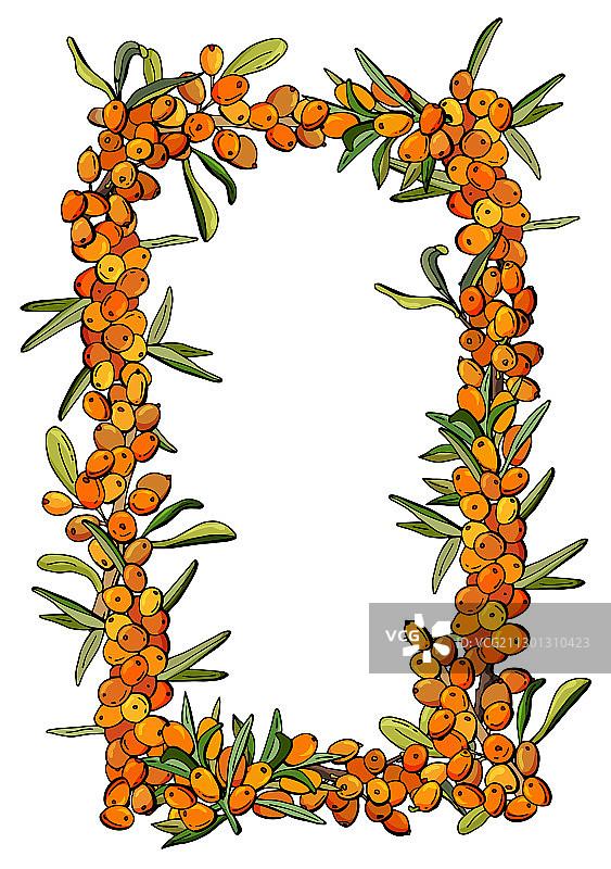 沙棘果边框图片素材