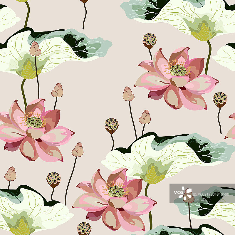 大型粉红色花朵和莲花图片素材