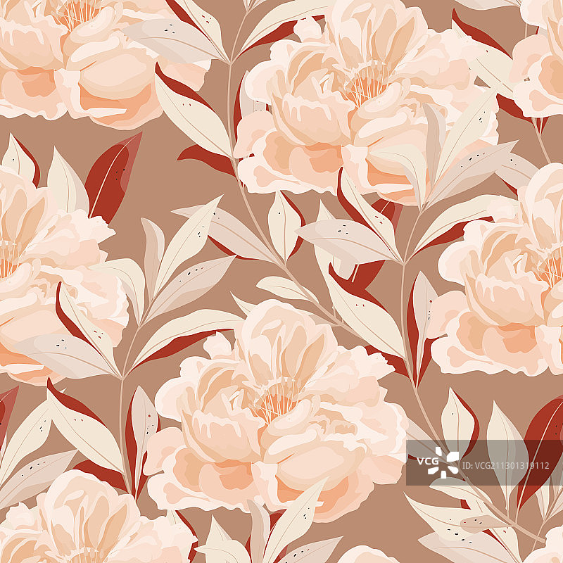 硕大的粉色牡丹花与优雅的绿色图片素材