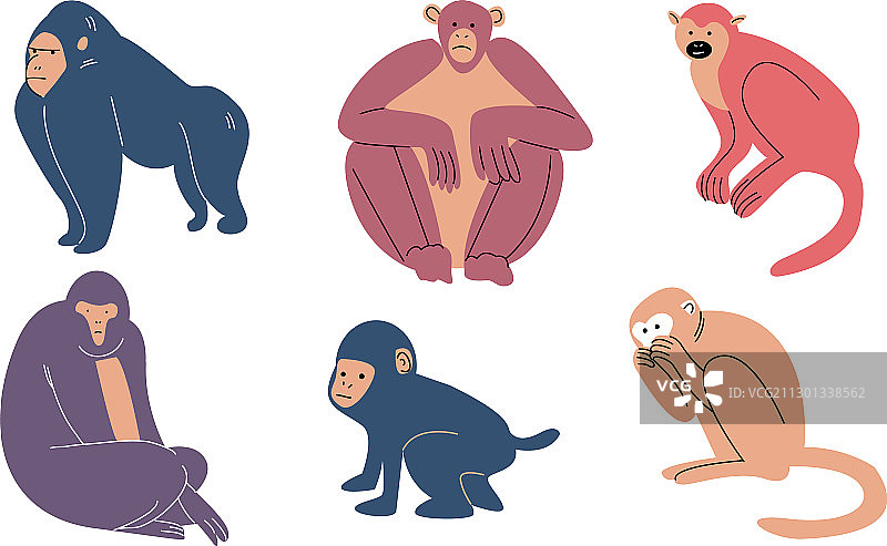 不同的猴子角色图片素材