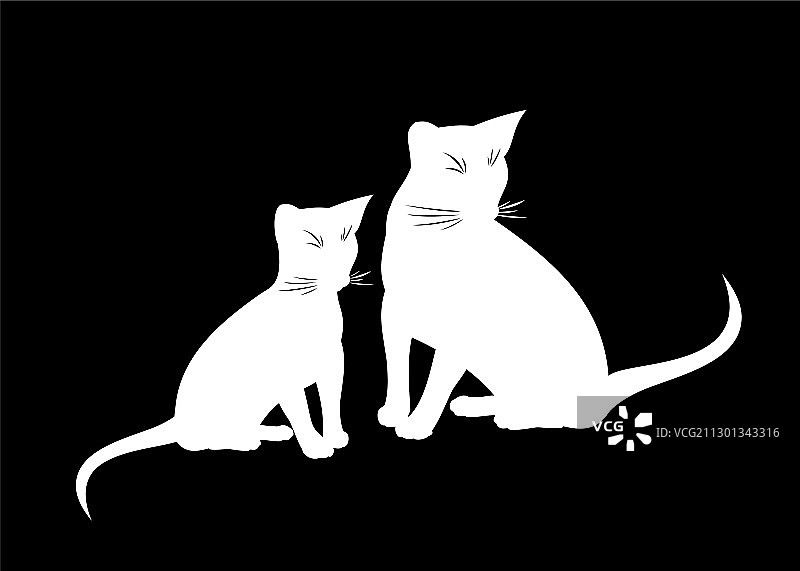 阿比西尼亚猫与小猫（已隔离）图片素材