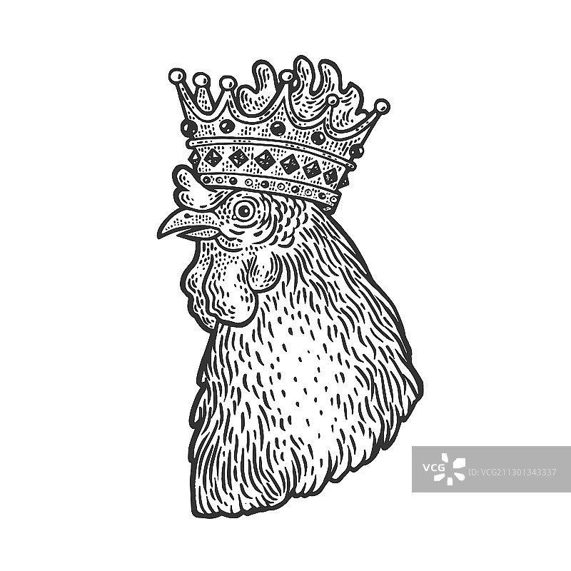 皇冠公鸡素描图片素材