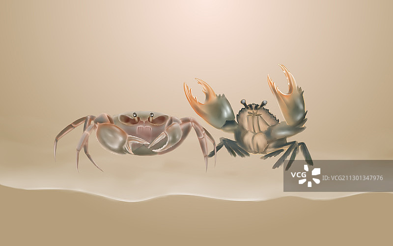 螃蟹图片素材