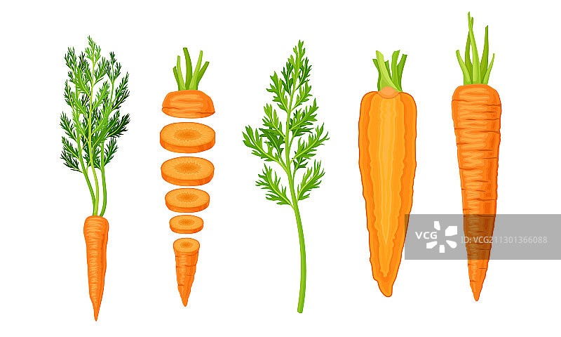 带叶子的完整和切块胡萝卜图片素材