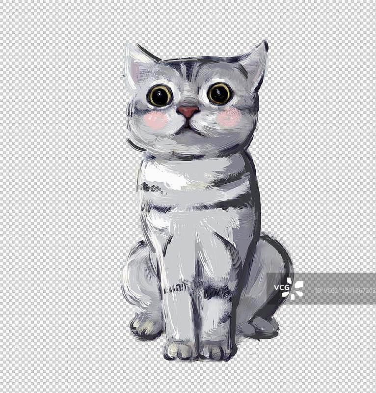 蹲坐的猫图片素材