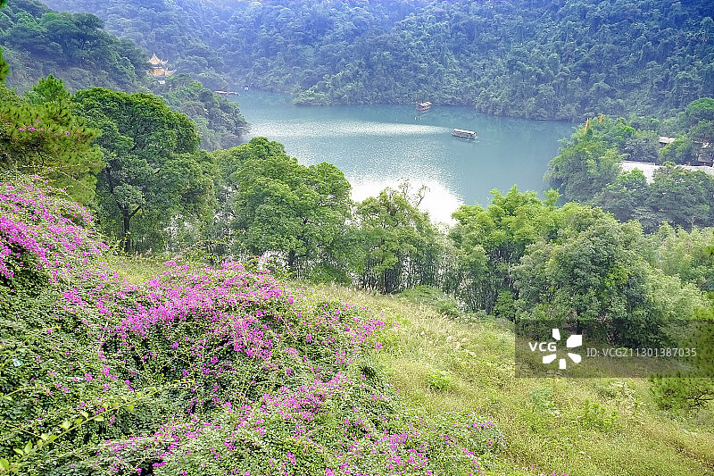 广东肇庆 鼎湖山图片素材