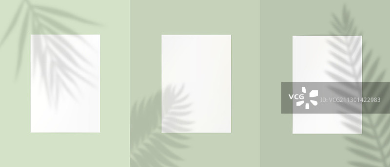 浅绿色背景上的A4纸图片素材