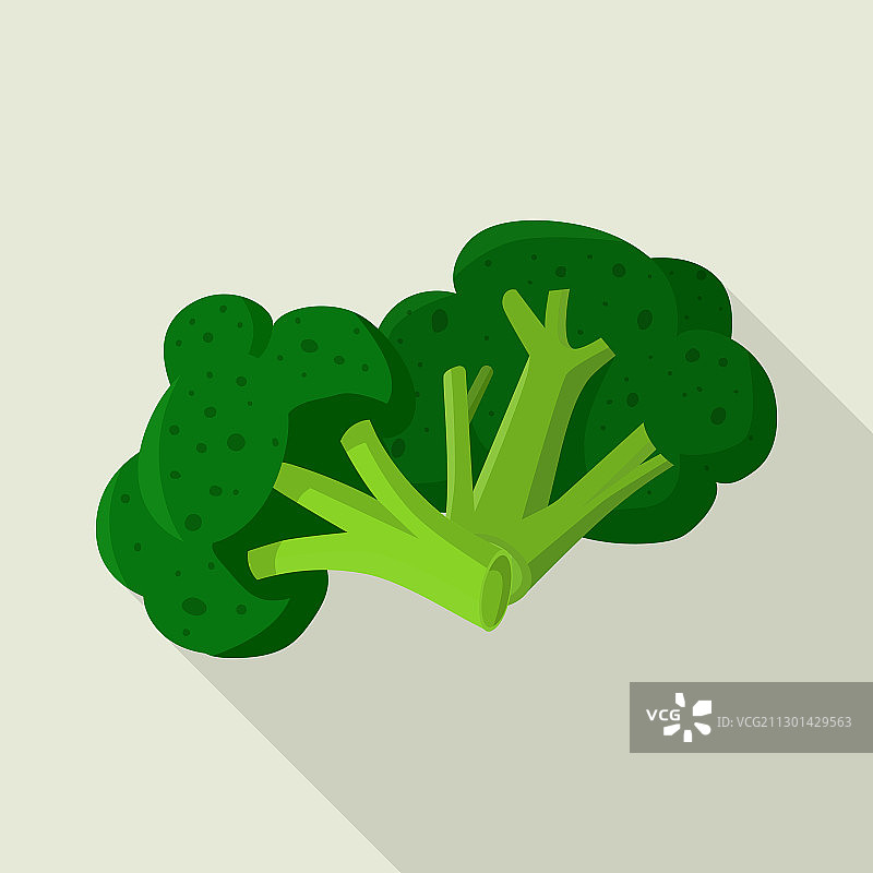 西兰花和卷心菜标志合集图片素材