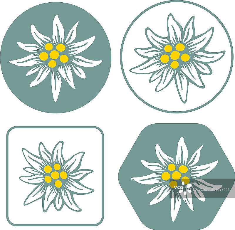 雪绒花图标，阿尔卑斯图标扁平风格图片素材