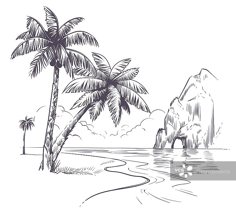 热带棕榈海洋景观速写图片素材