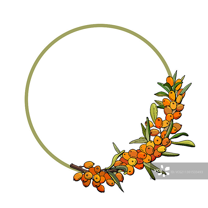 黄色沙棘圆形卡片图片素材