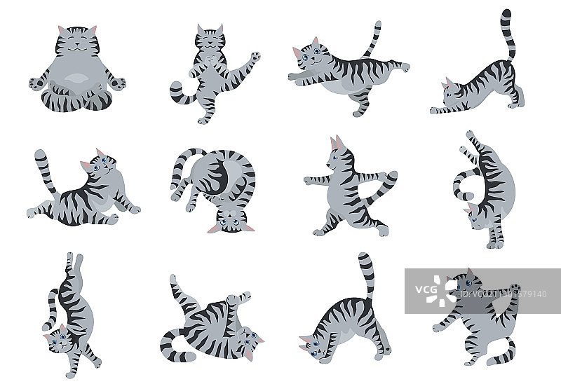 猫瑜伽：不同的瑜伽姿势和练习图片素材