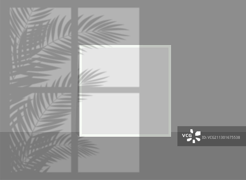 逼真的阴影叠加、自然光和阴影插图007图片素材