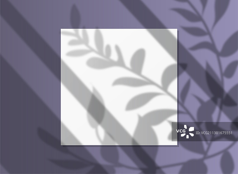 逼真的阴影叠加，自然光照和阴影插图013图片素材