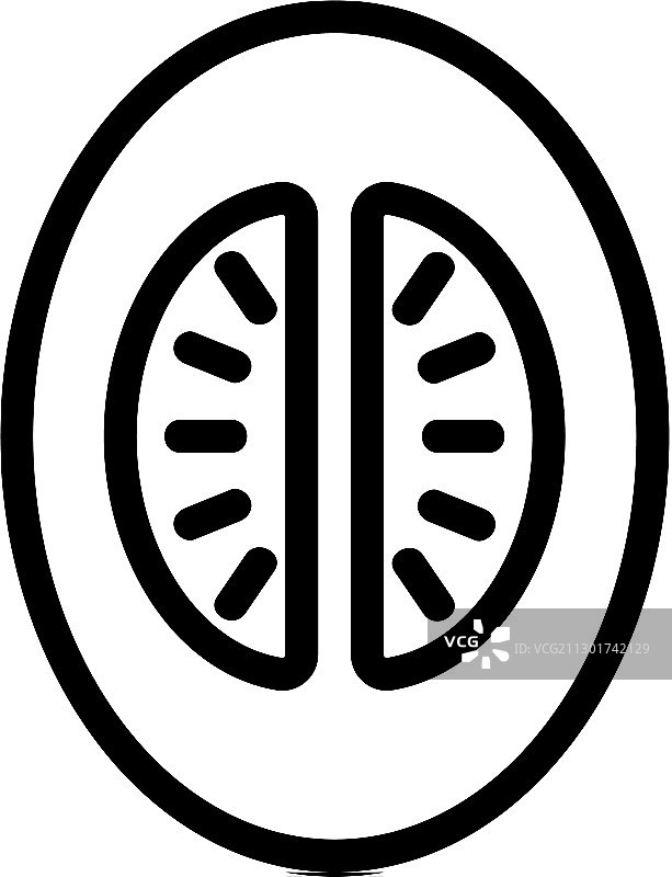 带内脏的半个甜瓜俯视图图标图片素材