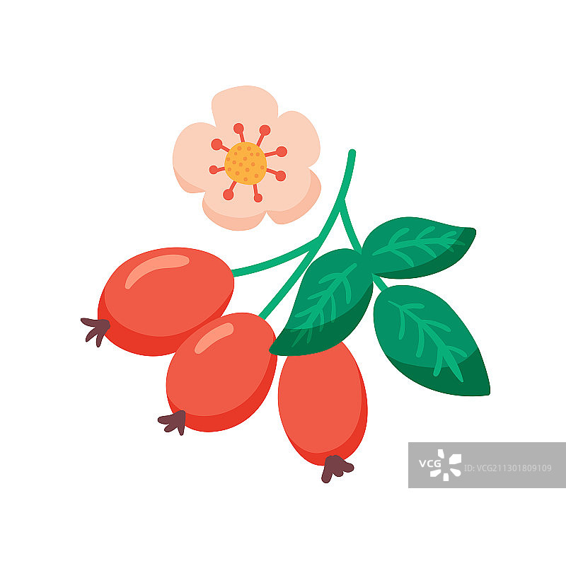 可爱的花卉矢量图标图案图片素材