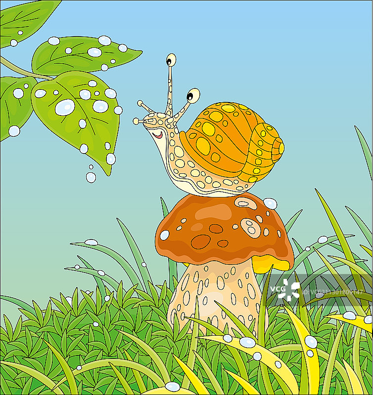 有趣的蜗牛在雨滴中玩耍图片素材