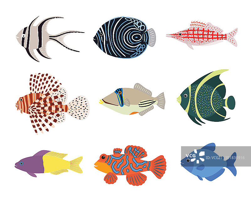 充满异国情调的热带海洋水族馆合集图片素材