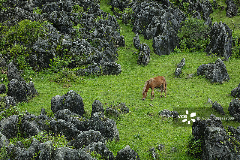 舍得草场的石林图片素材