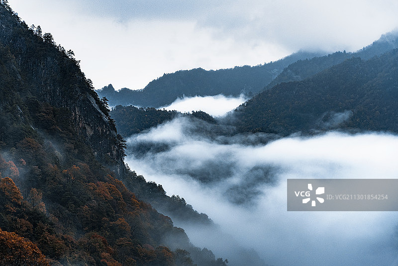 秦岭 太白山 云海 秋季图片素材