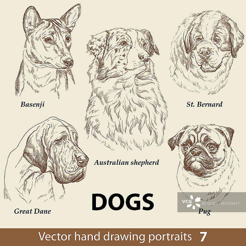 手绘狗图案7图片素材